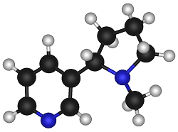 Nicotine Molécule de la Nicotine